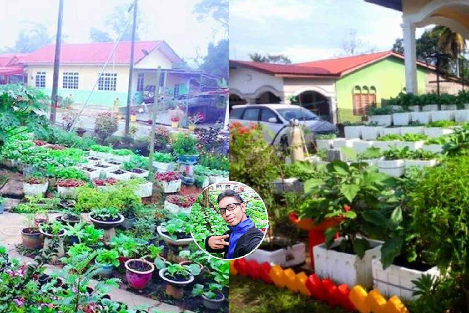 Tanam sayur keliling rumah jana pendapatan RM4,000 sebulan
